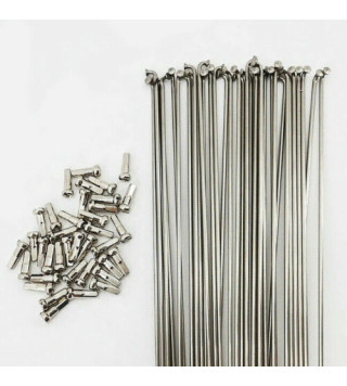 Kit 40 Raggi SAPIM Leader Inox 2mm - argento