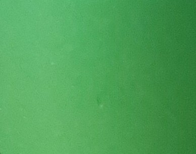 Light green 3